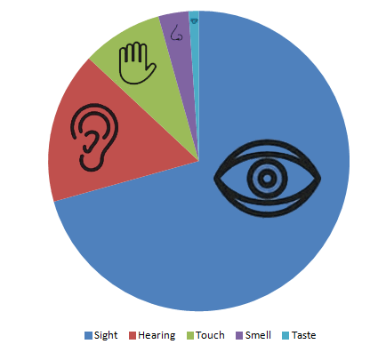 Senses Pie Chart color